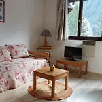Chamonix - 2 Pieces Avec Parking Et Animaux Admis - Fr-1-517-18
