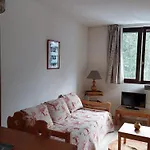 Chamonix - 2 Pieces Avec Parking Et Animaux Admis - Fr-1-517-18