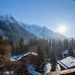 Studio A Chamonix Avec Parking Et Animaux Admis - Fr-1-517-35