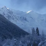Argentiere - Apartment Ideal For Ski Or Summer