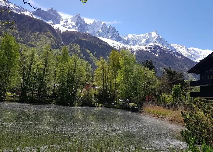 Bel Appartement , Son Jardin Et Le Lac