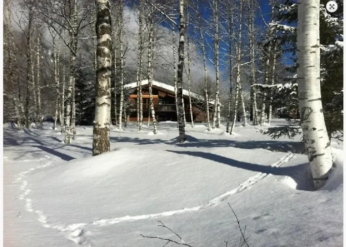 Chalet Champraz Studio - Free Parking