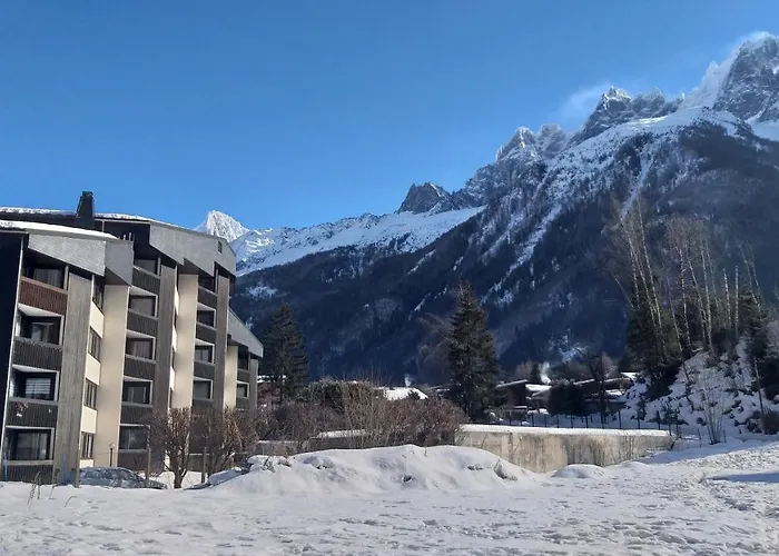 Studio Plein Sud Vue Mont Blanc Chamonix
