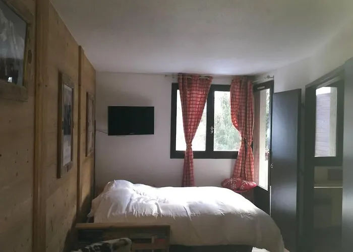 Charmant Appartement, Centre Ville, Vue Mont-Blanc