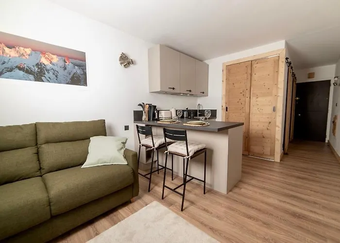 Charmant Studio Tout Confort Au Brevent-Chamonix
