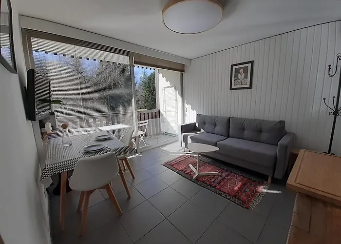 Studio Quartier Calme Centre Ville Vue Mont Blanc