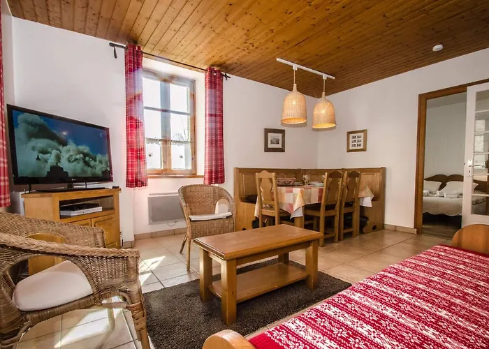 Appartement Central A Chamonix Avec Wifi Et Animaux Acceptes - Fr-1-343-216