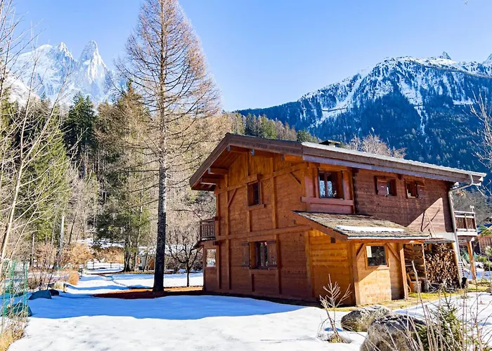 Ski Nest With View Of Mont Blanc