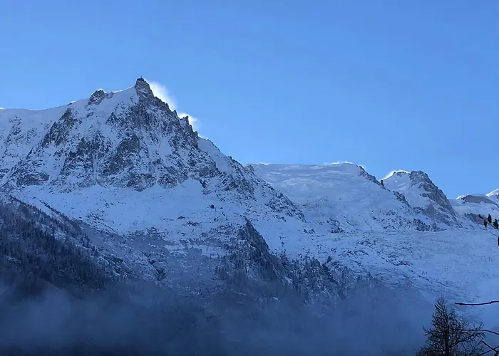 Les Alpins - Centre De Chamonix - Renove Avec Jardin Et Vue Imprenable Sur Le Montblanc