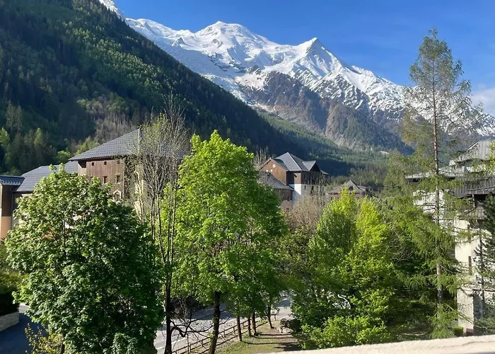 Appart Les Cosmiques, Vue Mont Blanc - Aiguille Du Midi
