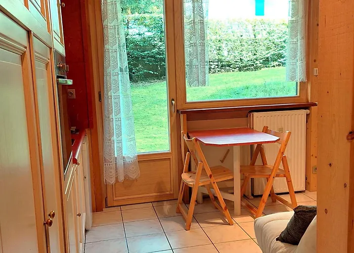 Studio Chamonix Renove, Proche Centre Et Telecabine, Animaux Admis, Parking - Fr-1-517-3