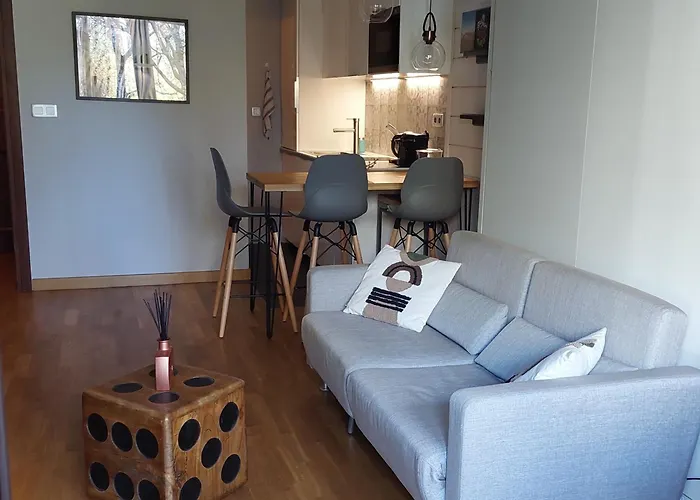 Studio Confortable Renove Avec Wifi A Chamonix - Fr-1-517-69