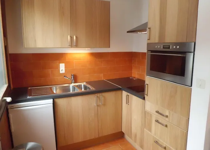 Studio Chamonix - Animaux Admis, Parking, Balcon - Fr-1-517-27