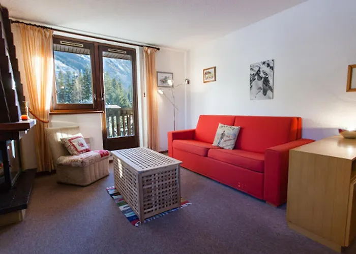Charmant 2 Pieces Avec Parking A Chamonix, Animaux Acceptes - Fr-1-517-19