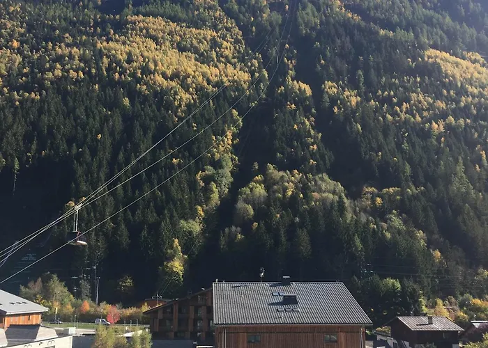 Studio Renove A Chamonix Avec Balcon, Animaux Acceptes, Parking - Fr-1-517-54