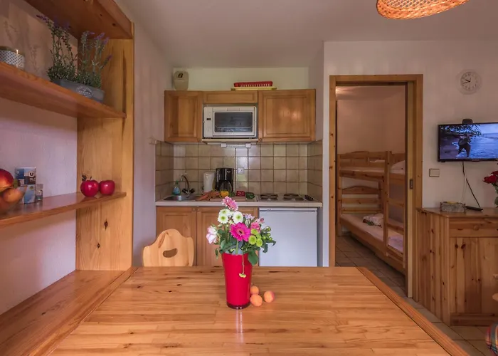 Studio Chamonix-Mont-Blanc, 1 pièce, 4 personnes - FR-1-517-21