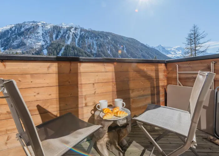 Residence Grand Roc - Ancolies 215 - Happy Rentals