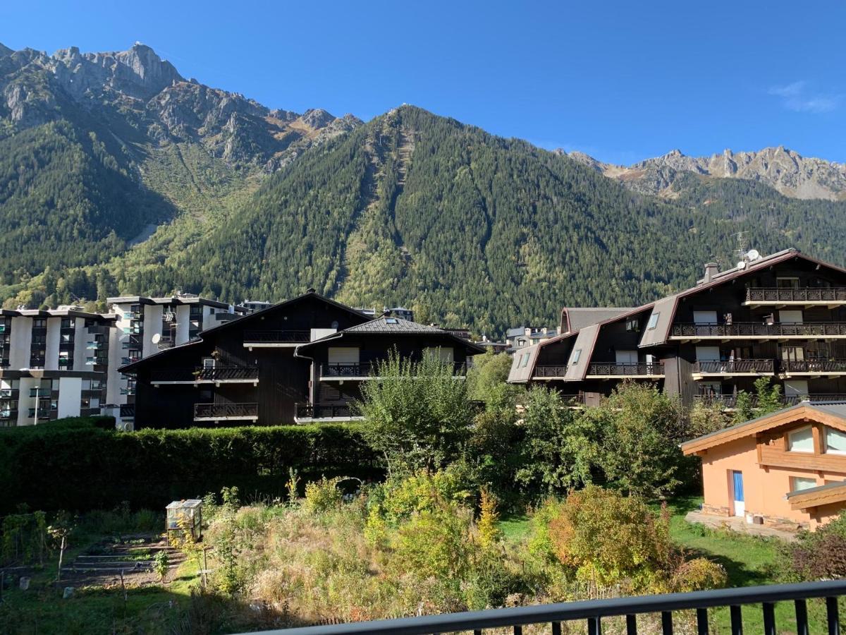 Androsace Du Lyret Apartment Chamonix