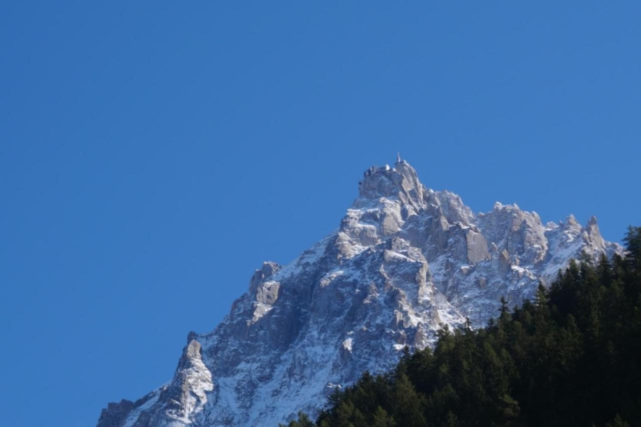 Modern With Garden * Chamonix
