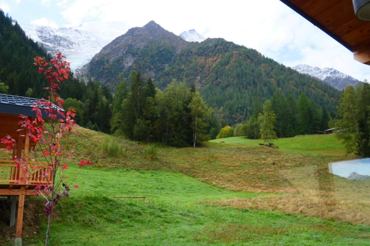 Modern With Garden Chalet Chamonix