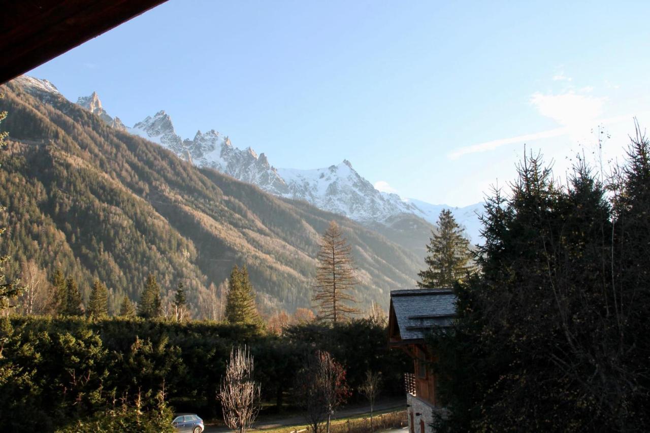 Magnificent With View On The Mont Blanc *