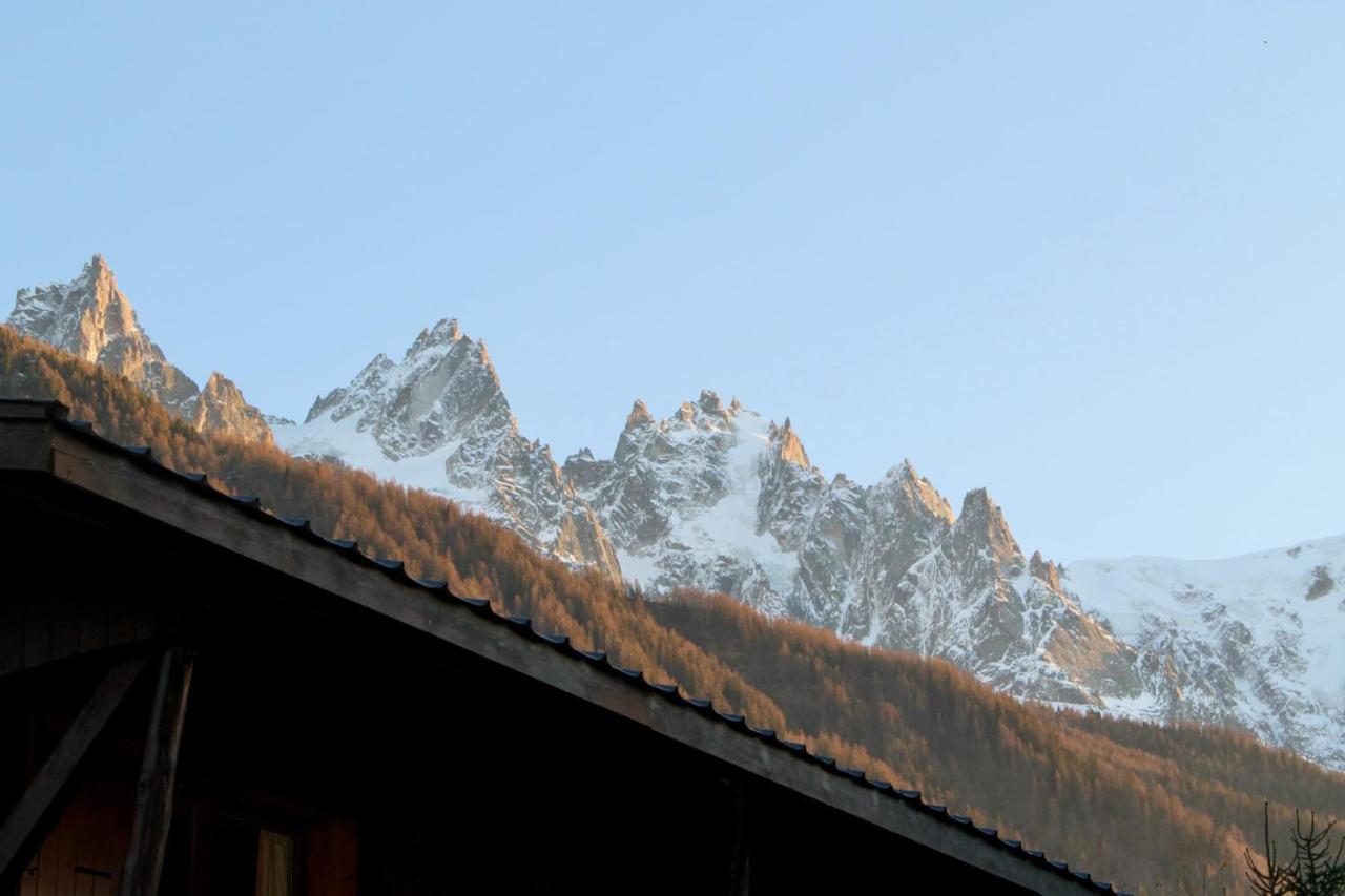 Magnificent With View On The Mont Blanc *