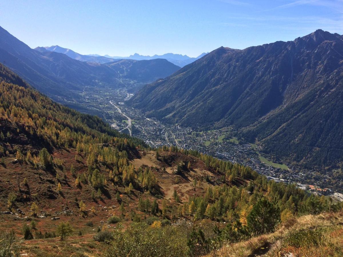 Apartment 131 Chemin Des Avouilles Chamonix