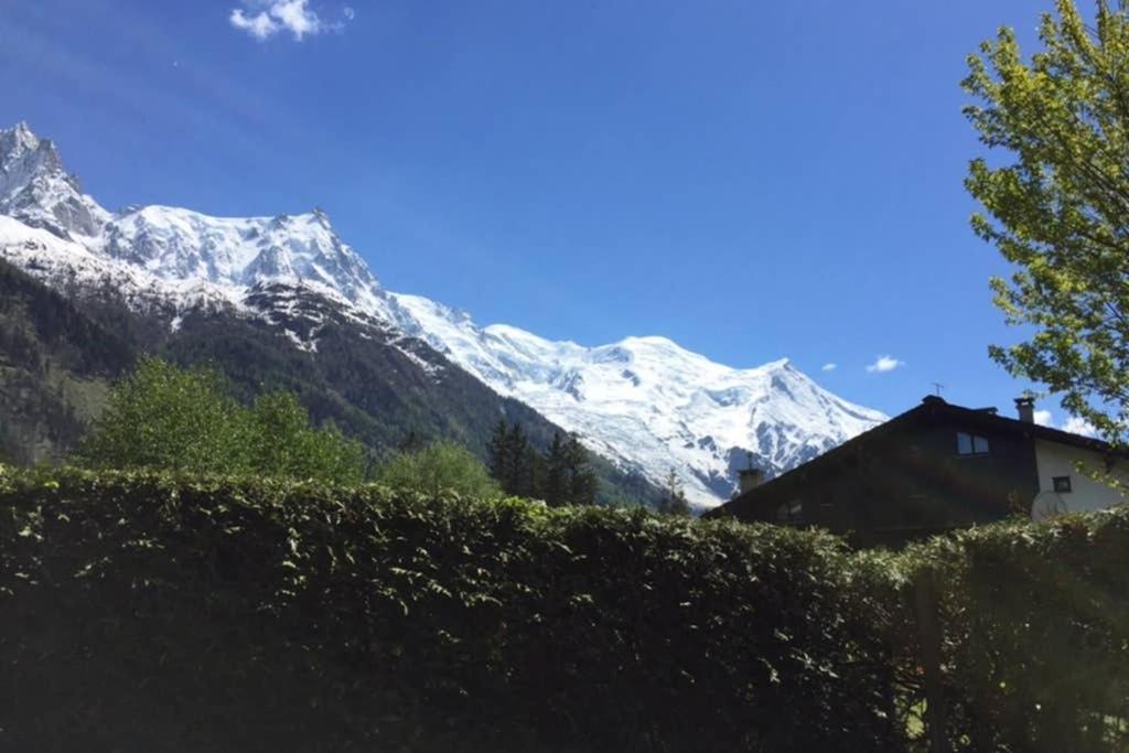 Au Calme Avec Jardin Et Vue Mont-blanc Apartment