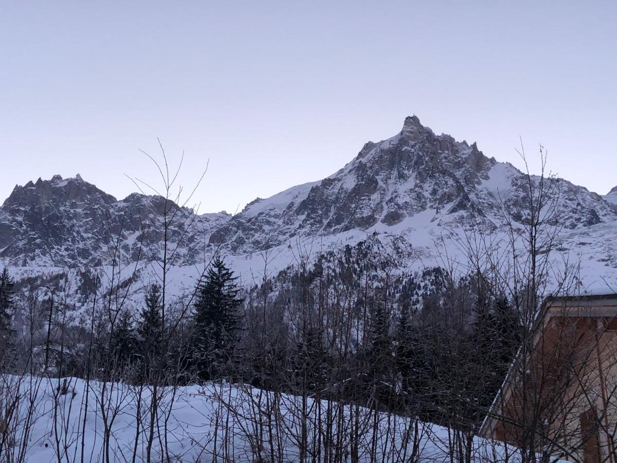 Chalet Petit Chalet Montagnard Cosy ! Chamonix