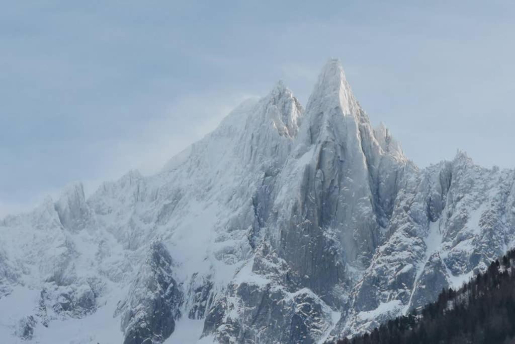 Apartment Luxe 5*,spa & Fitness, La Cordee 821 Chamonix