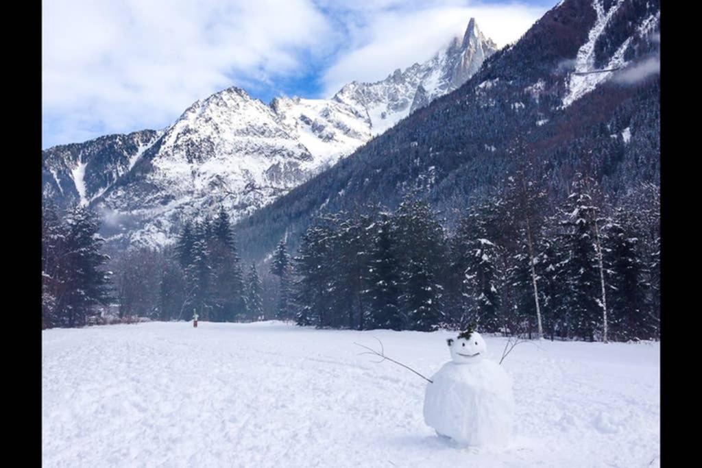 Chinook,la Praz,chamonix Mont Blanc Chamonix