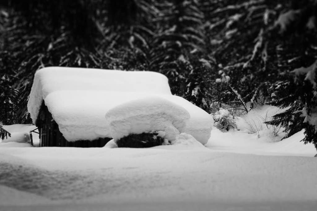 Chinook,la Praz,chamonix Mont Blanc Chamonix
