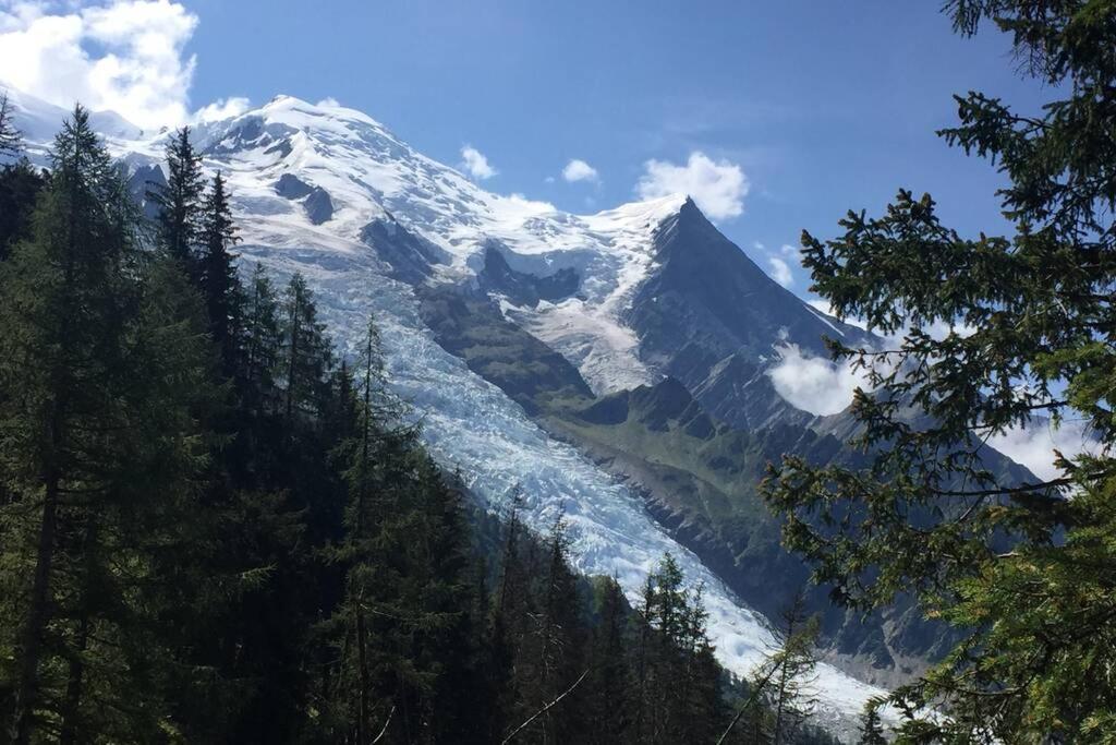 Apartment Le Mallory Chamonix