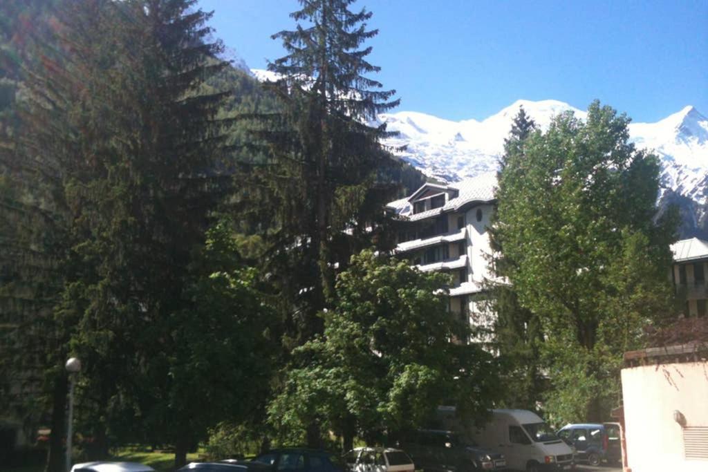 - Vue Mont Blanc Apartment