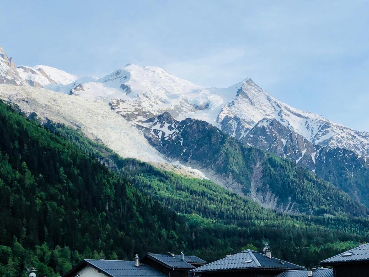Mont Blanc 43, Vue Mont Blanc , Balcon, Parking * Chamonix