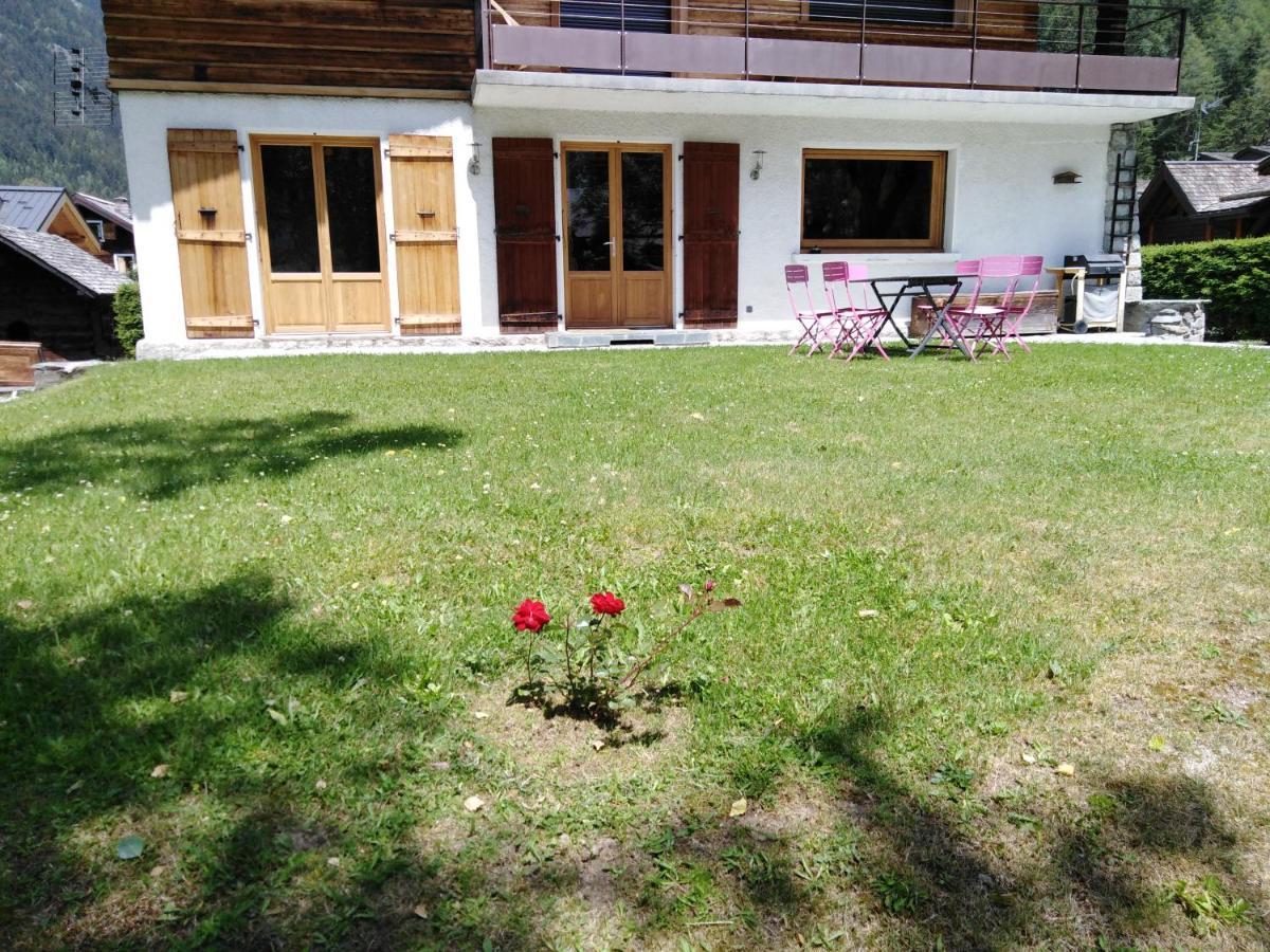 Avec Terrasse Appartement