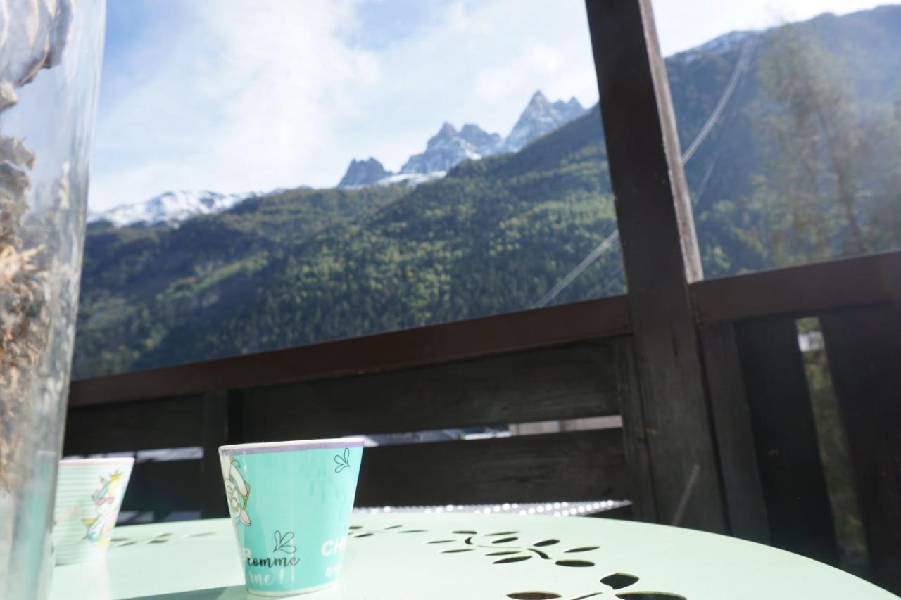 Studio Face Au Mont-blanc Chamonix