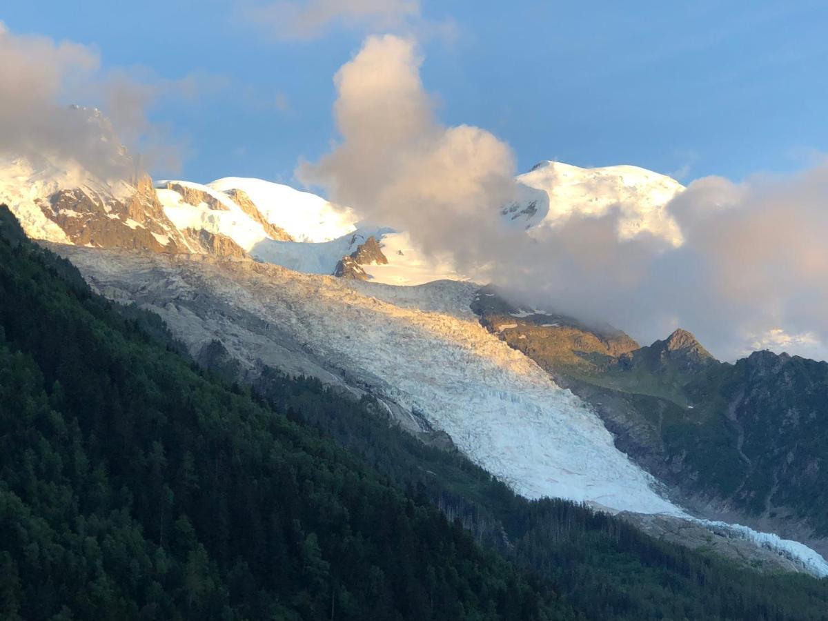 Appartement Mont Blanc 43, Vue Mont Blanc , Balcon, Parking Chamonix