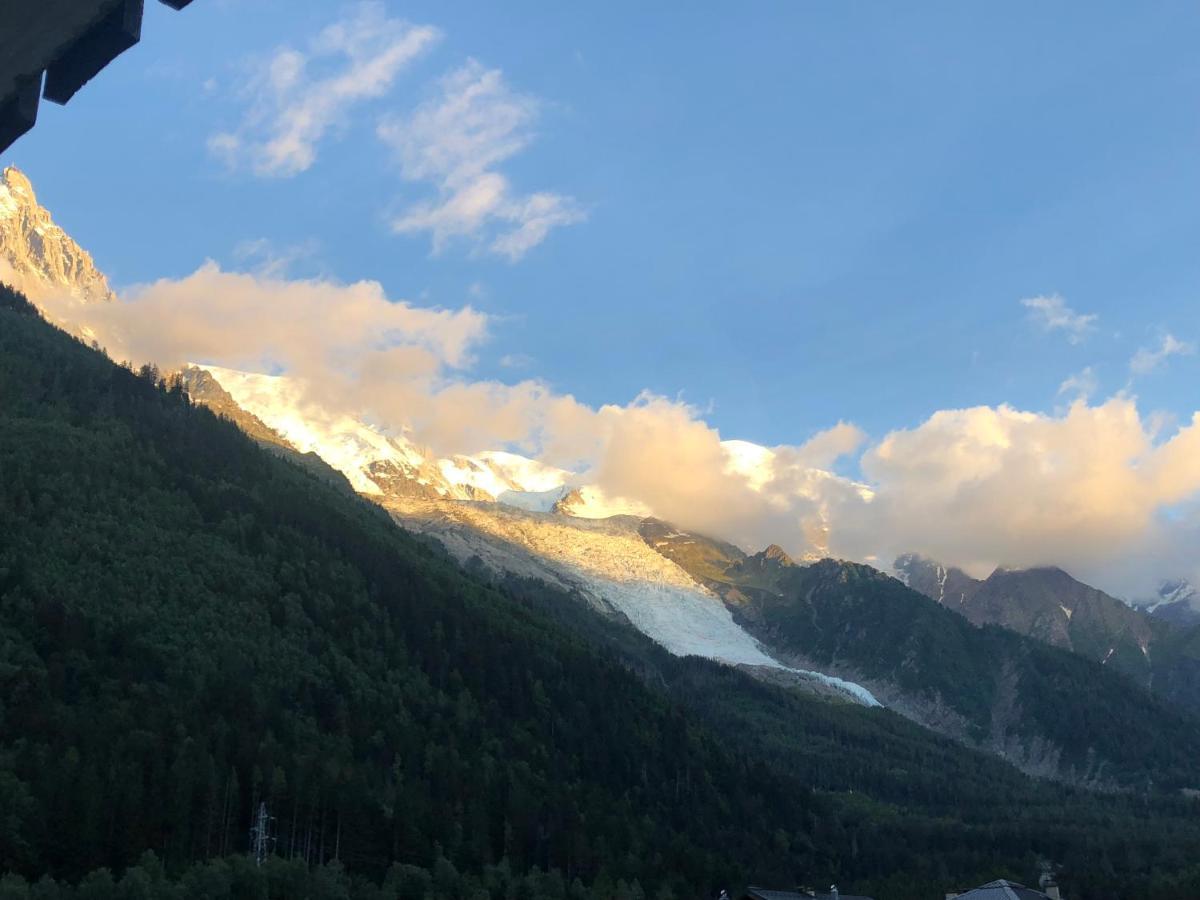 Mont Blanc 43, Vue Mont Blanc , Balcon, Parking Appartement Chamonix