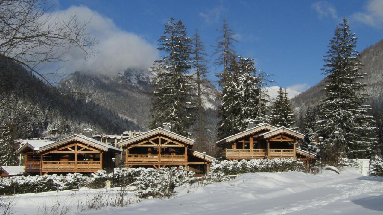 Grands Montets *