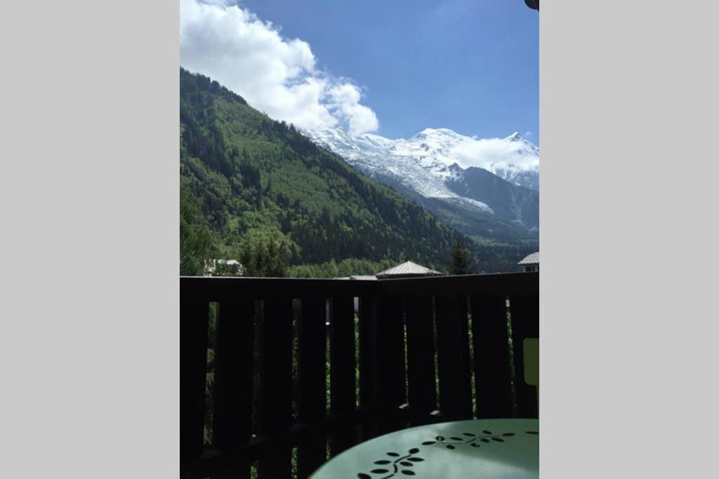 Studio Face Au Mont-blanc *