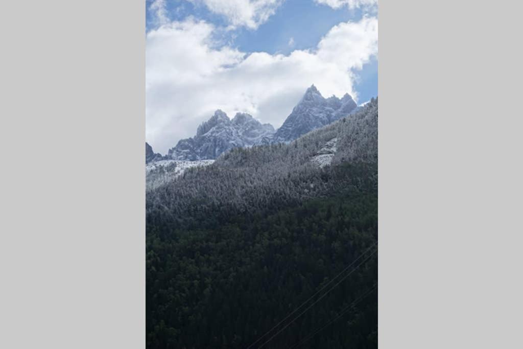 Apartment Studio Face Au Mont-blanc