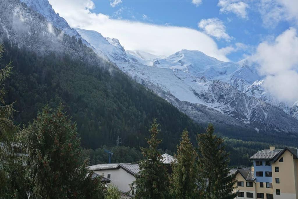 Studio Face Au Mont-blanc Apartment Chamonix