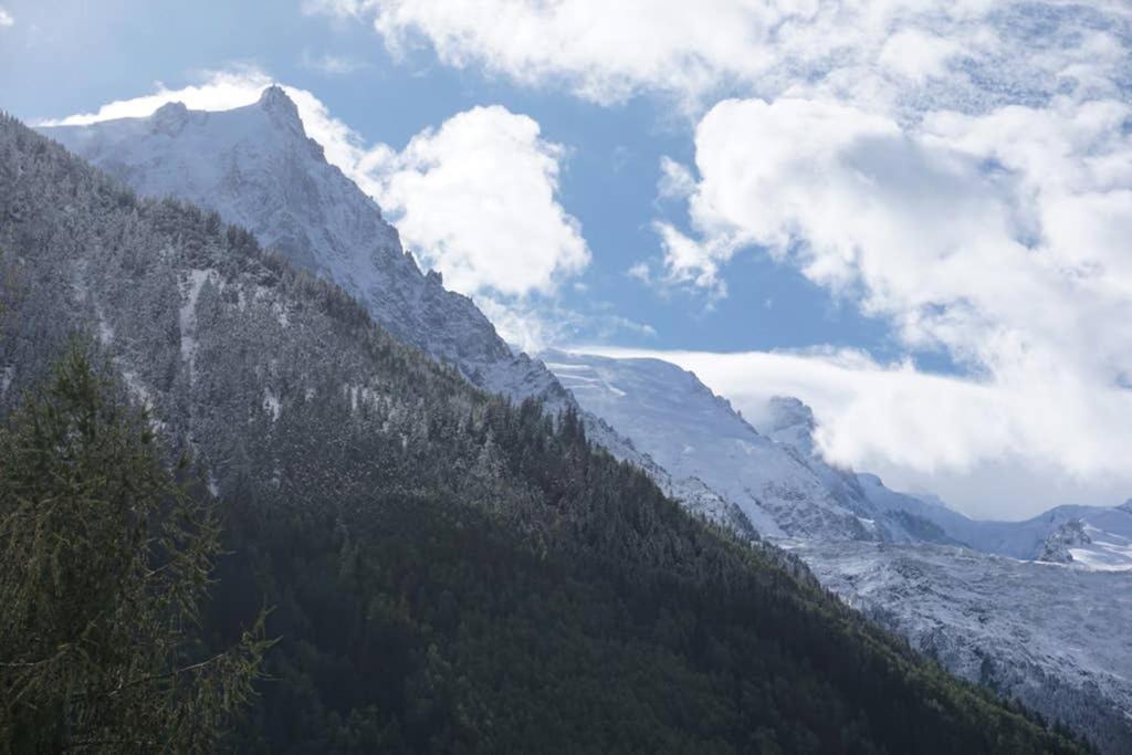 Apartment Studio Face Au Mont-blanc