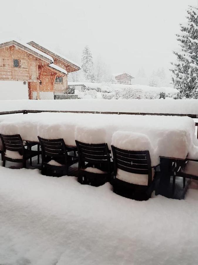 Superbe Chalet-11 Personnes-chamonix Chalet *