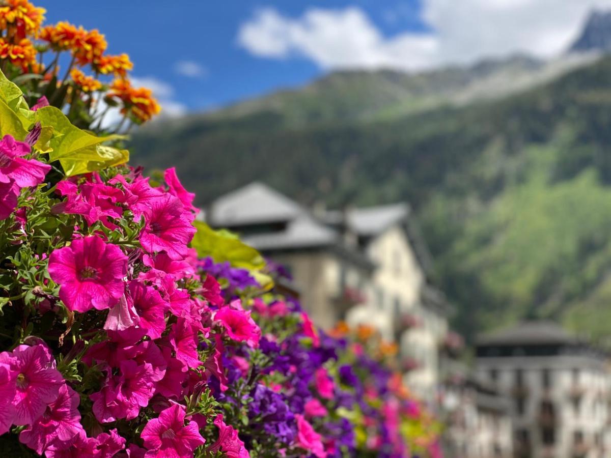 Rocky Sud Chamonix