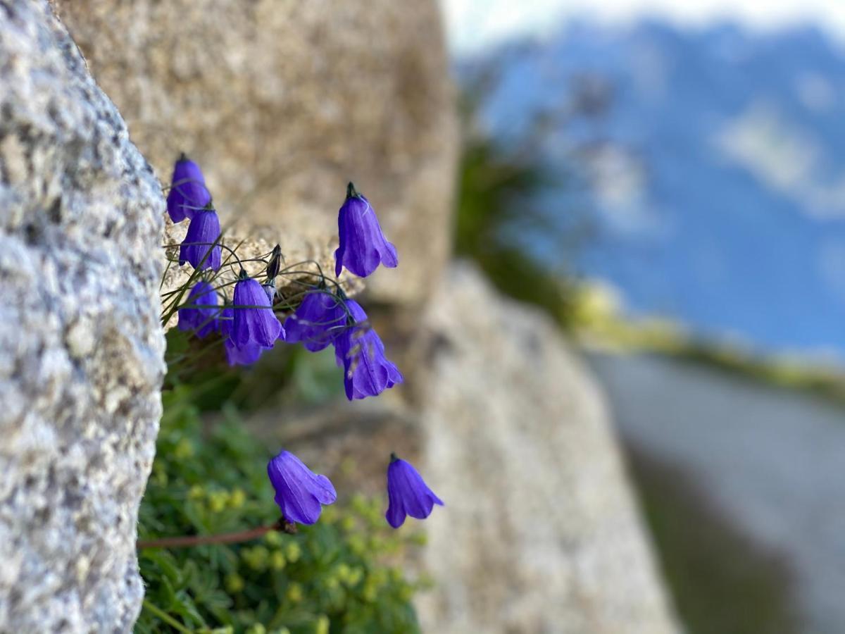 Rocky Sud * Chamonix