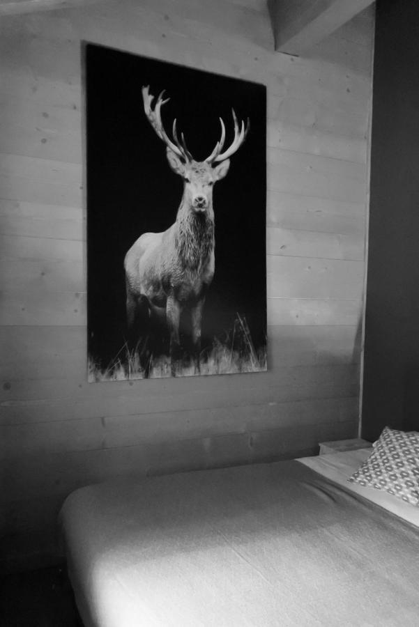 Grand Le Trappeur - * Chamonix