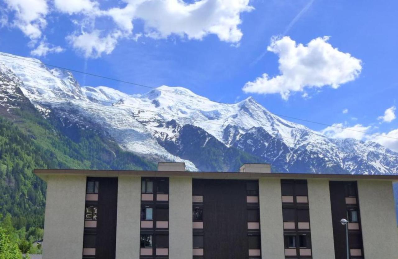 Lumineux Avec Vue Sur Le Massif Du Mont-blanc *