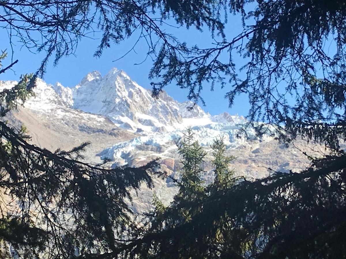 Cosy Proche Des Grands Montets Chamonix